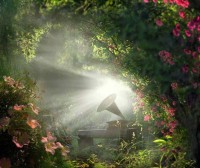 Drunvalo Melchizedek